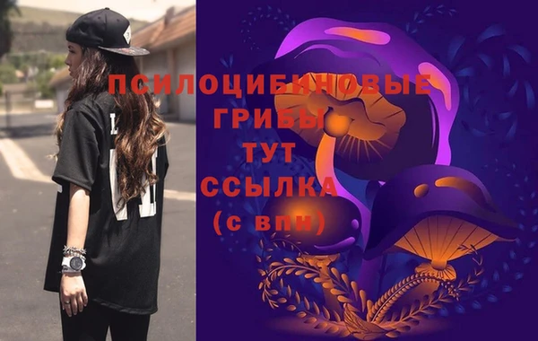 прущие грибы Арсеньев