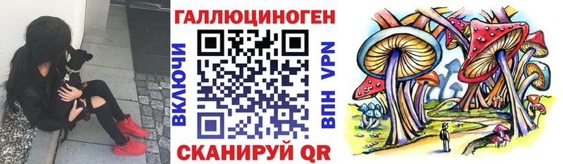 Псилоцибиновые грибы MAGIC MUSHROOMS  Купить  Тобольск 